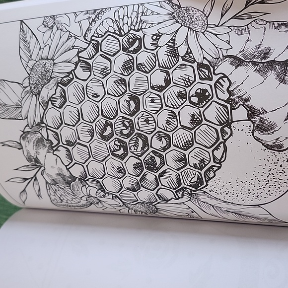 Cute Food Advanced Coloring Book - Picture 3 of 4